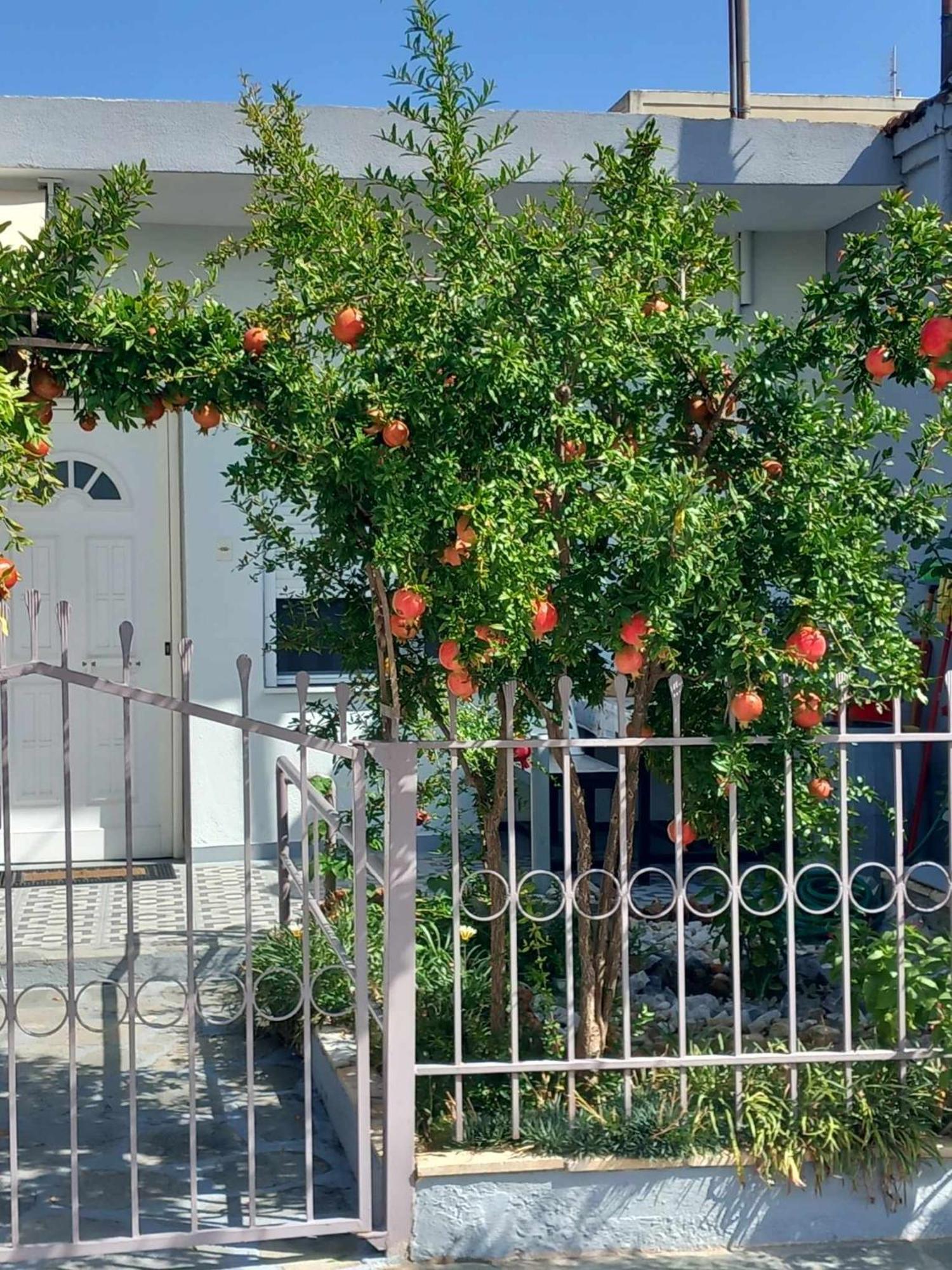 Anastasia'S Home เนอาเปรามอส ภายนอก รูปภาพ