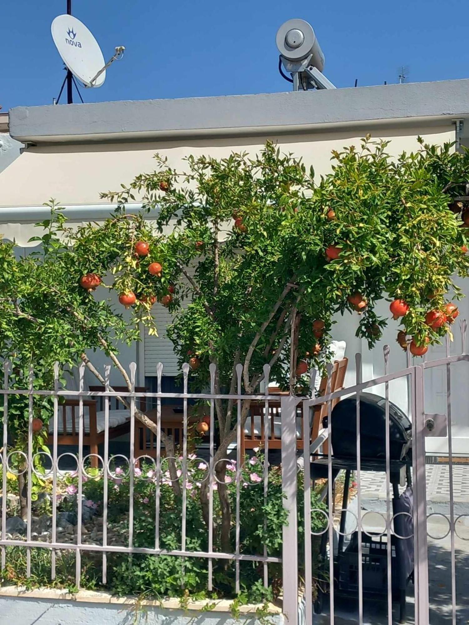 Anastasia'S Home เนอาเปรามอส ภายนอก รูปภาพ